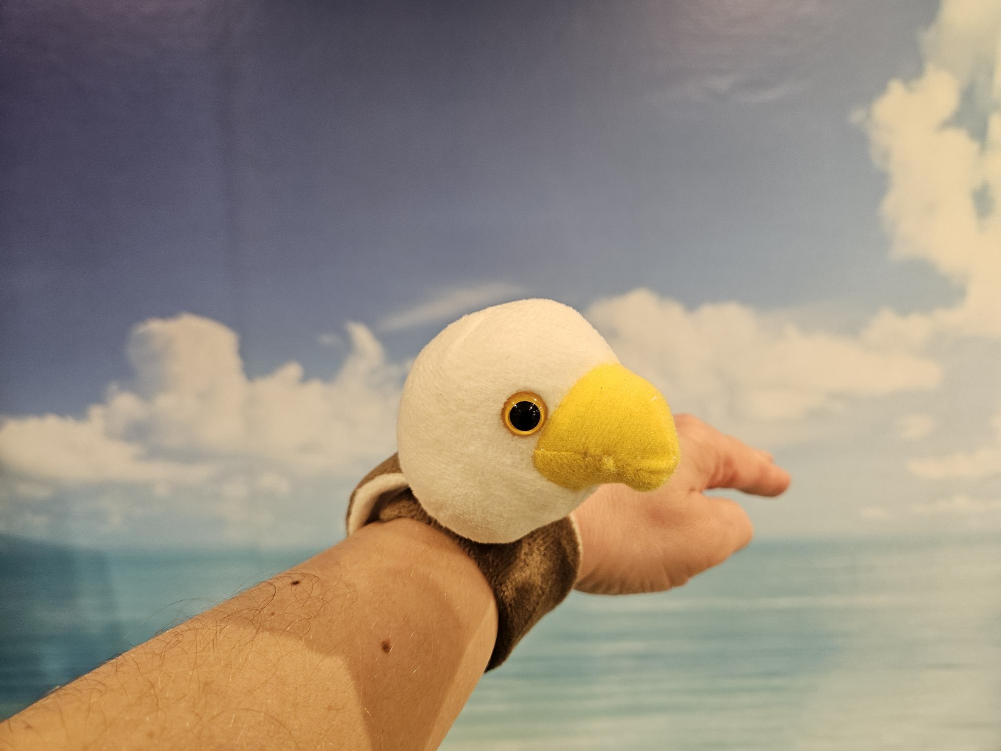 Slapbracelet Eagle 26 cm