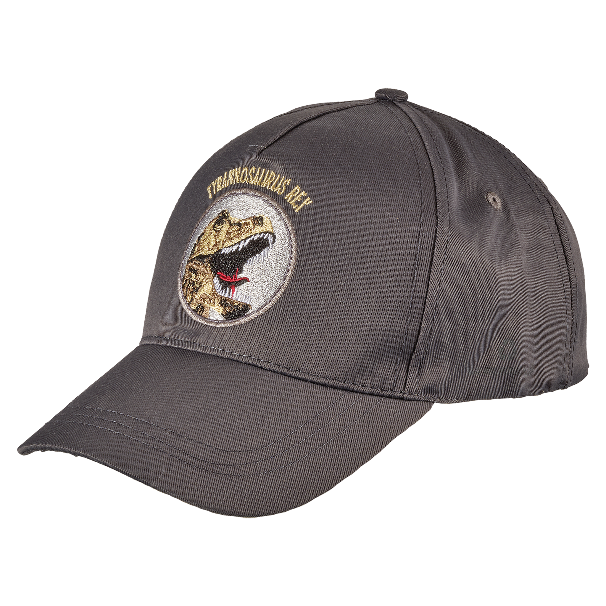 Cap T-Rex dunkel grau - Kind