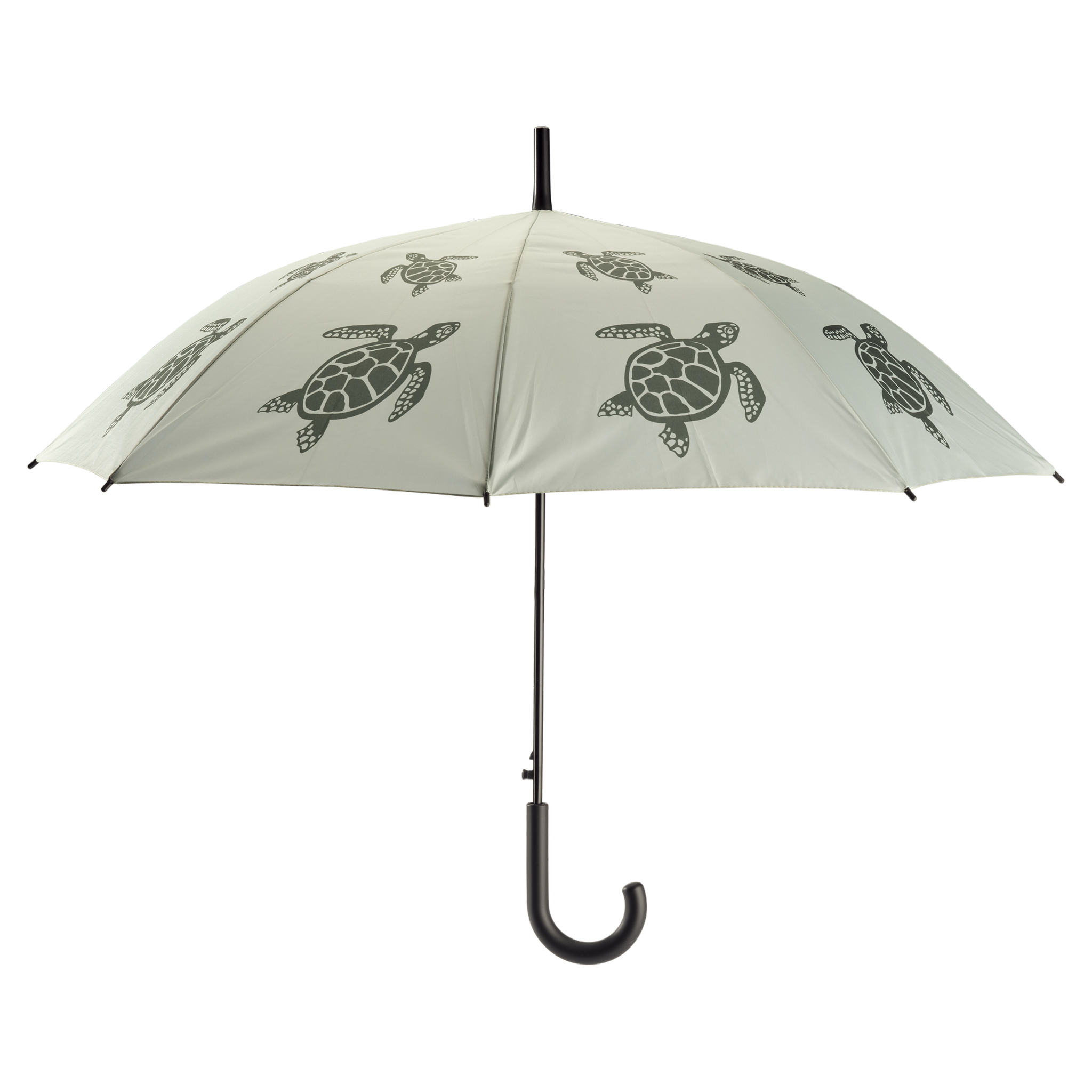 Umbrella Turtle - adult 94 cm