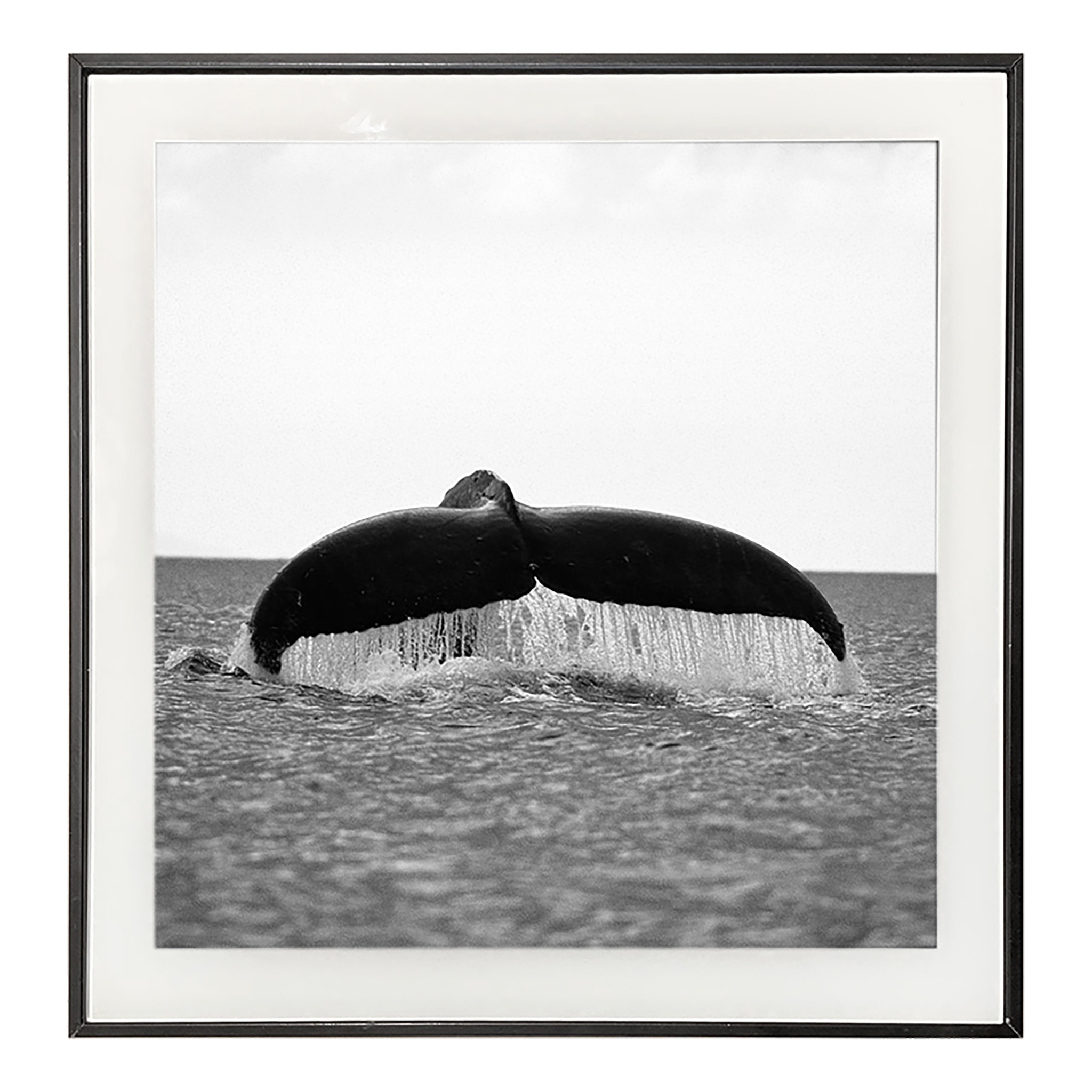 Photo BW Whale 30x30 cm