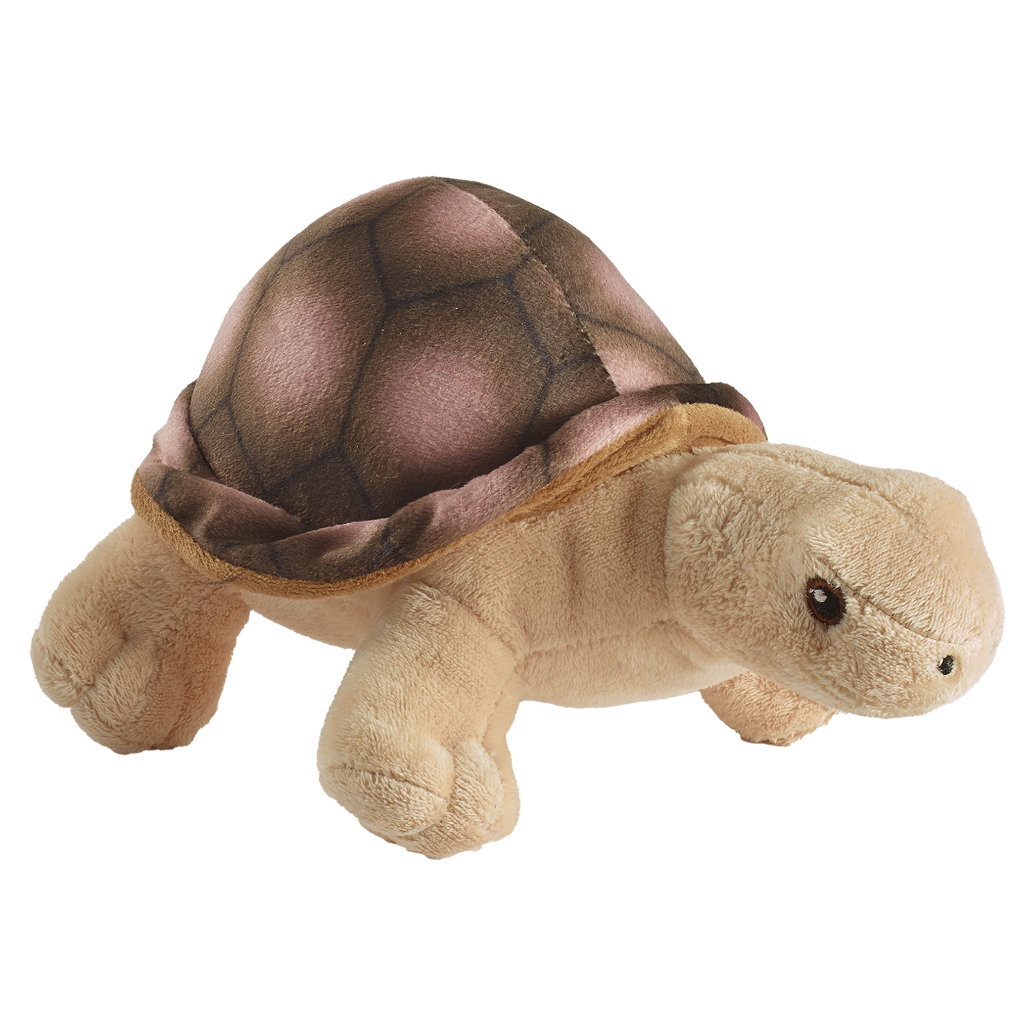 ECOmbacks Tortoise 20 cm