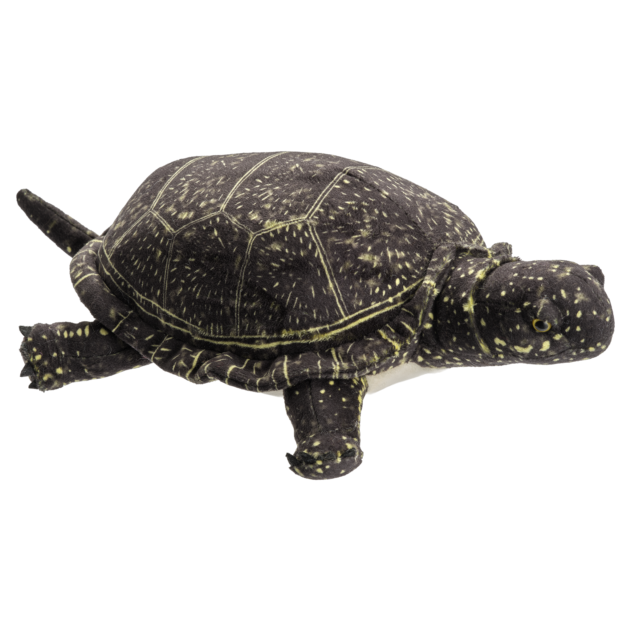 Nature Friends European Pond Turtle 30 cm