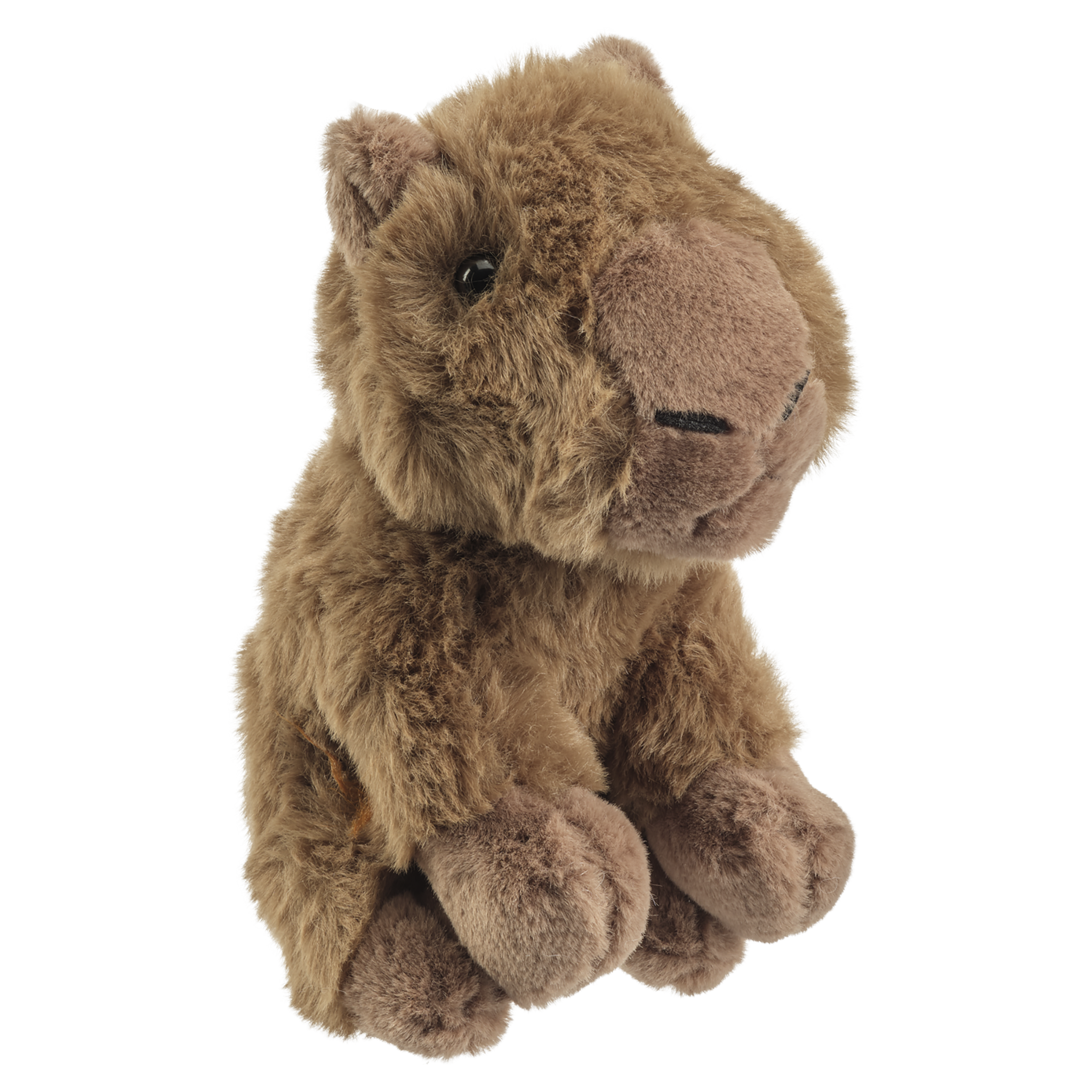 ECOsoft Kapivar 16 cm