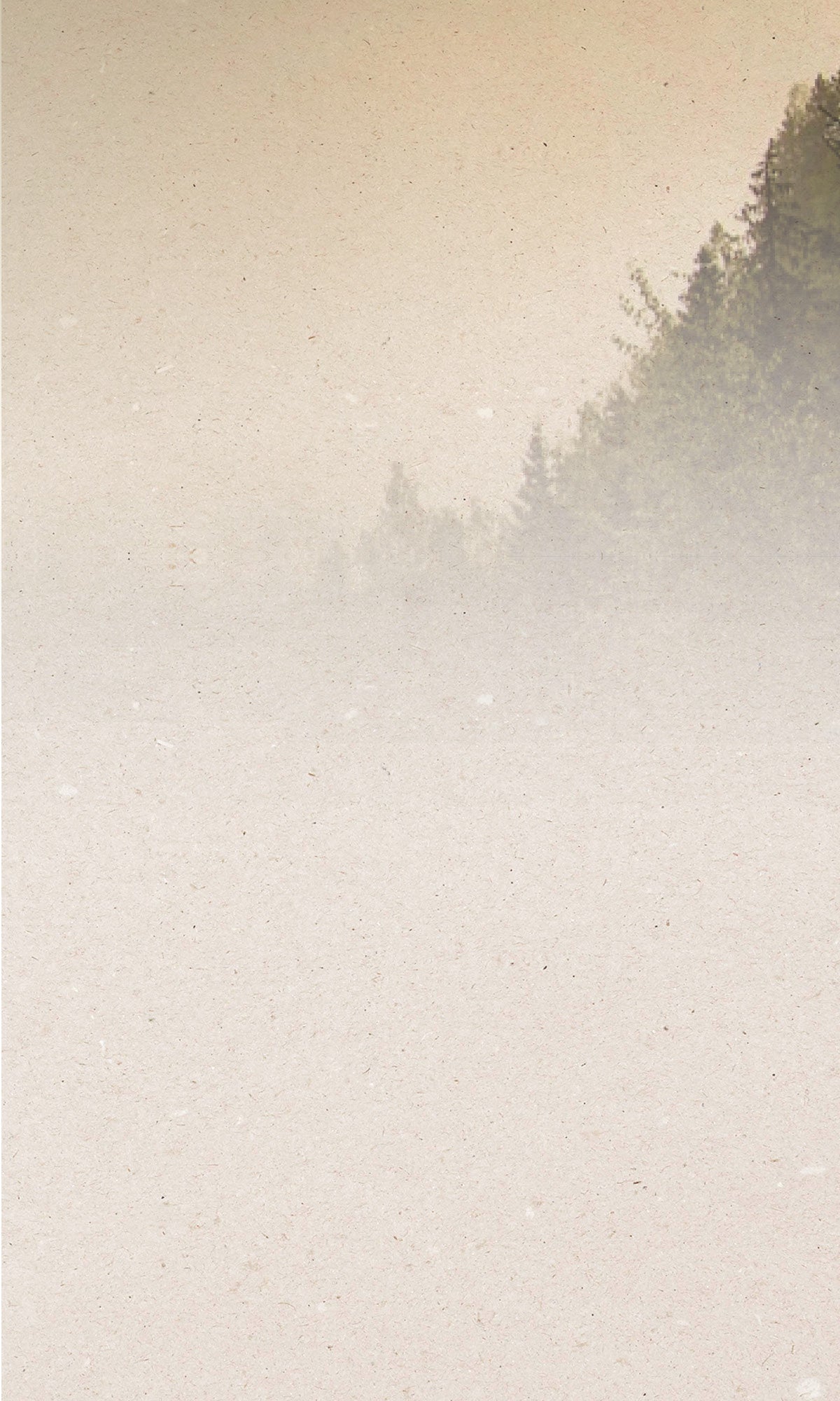 ECOsoft