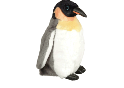 31010emperor-penguin